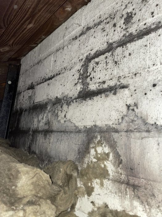 Mögel och fuktskador på en källarvägg med synliga spår av fuktinfiltration och isoleringsmaterial i förgrunden.