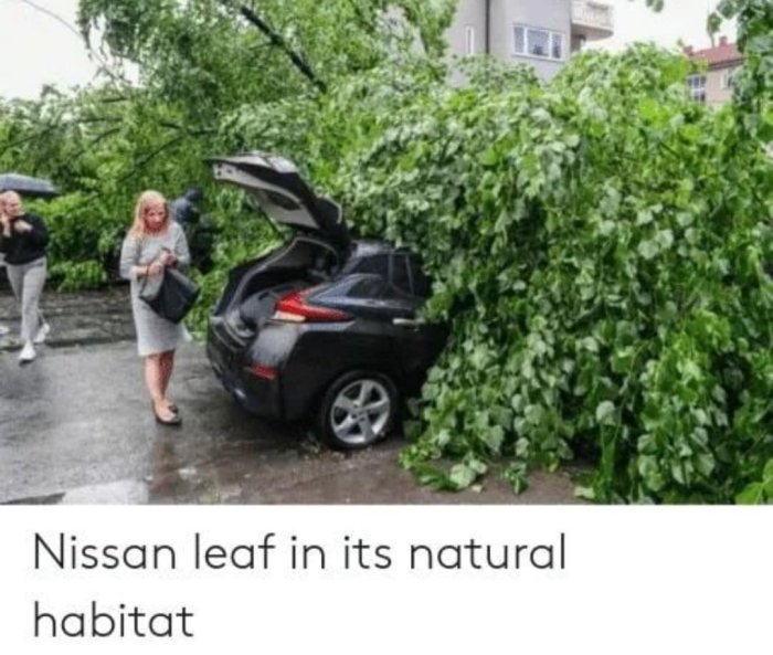 Elbil parkerad med bakluckan öppen halvt dold av tät grönska, med gående personer under regn.