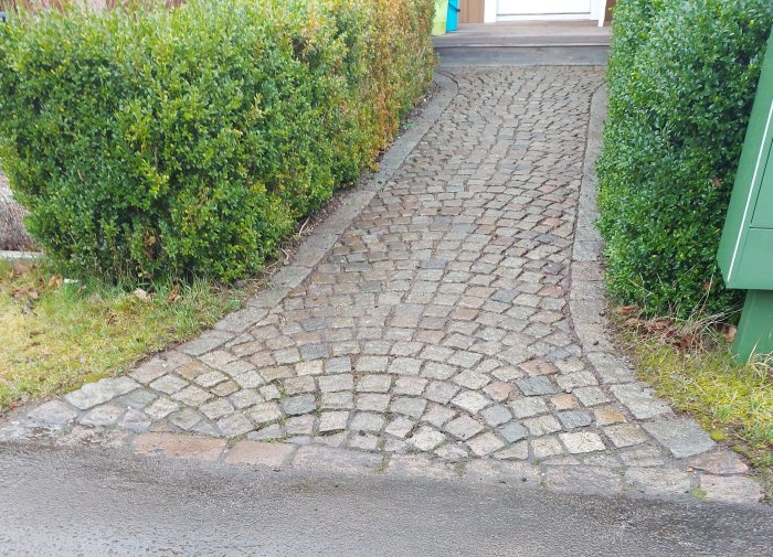 Gångväg av handhuggen svensk gatsten i bågmönster med elastisk hårdfog, omgiven av häck och gräsmatta.