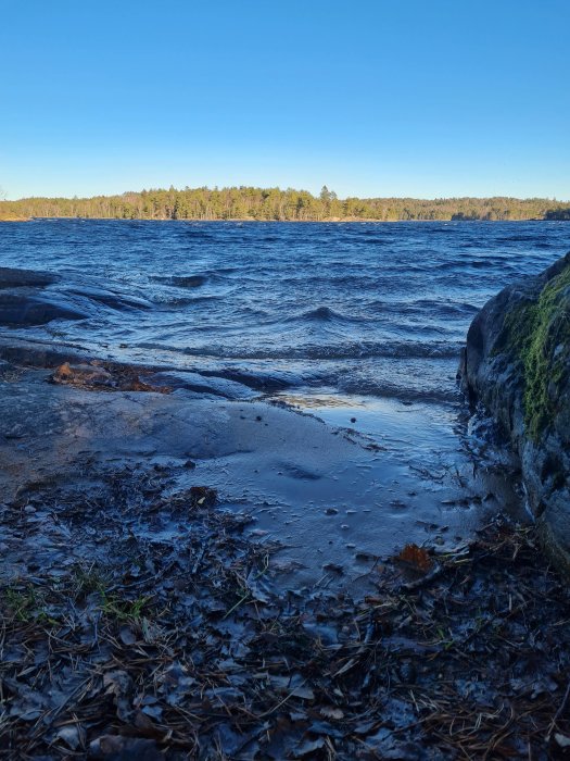 Vågigt vatten vid sjönkanten, omgivet av skog och klippor, med löv och mossa på marken.