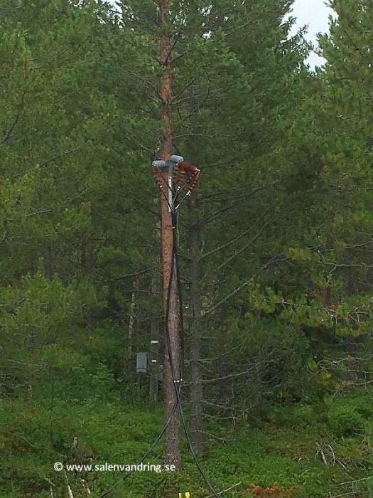 Transformator på stolpe i skogsmiljö för tillfällig elanslutning.