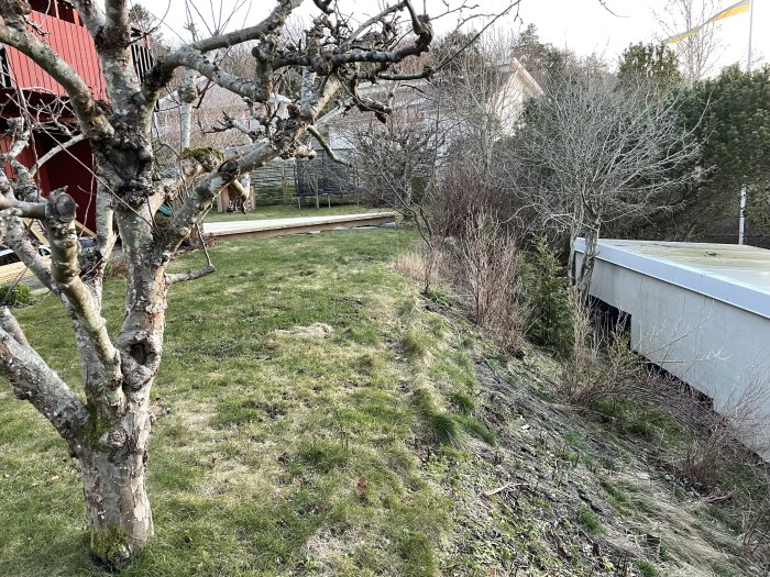 Altan med befintlig gräsmatta som leder ner till en slänt med sprängsten och buskvegetation vid hus.