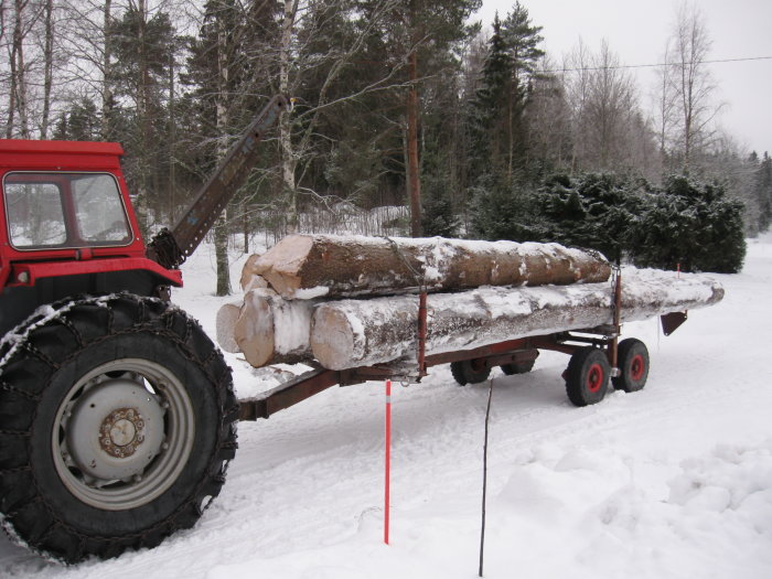 Snöiga sågstockar lastade på en släpvagn bakom en röd traktor i vinterlandskap.