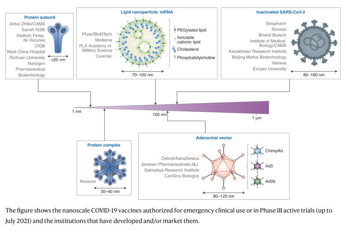 Illustration som jämför nanoskala COVID-19-vacciner och tillverkande institutioner.