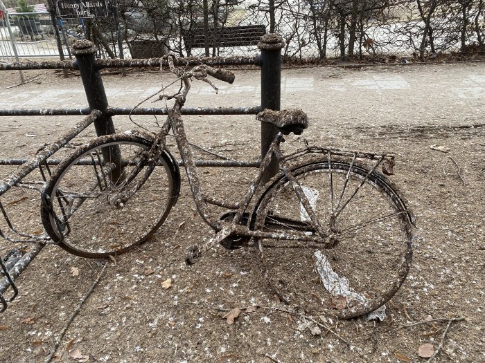 Rostig cykel fastlåst vid staket med bortfallna delar och täckt av snäckskal.