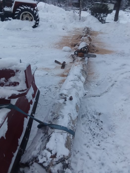 Motorsåg och nedfallen björkstam i snön intill en traktor, stammen är delvis klyvd och markerad för ytterligare kapning.
