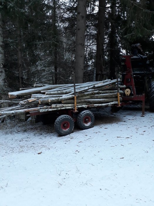 En timmersläp full med färska trädstammar i snötäckt skogsmiljö.