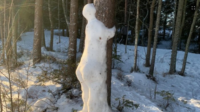 En snögubbe skulpterad mot ett träd i en skog med snö på marken och solljus i bakgrunden.