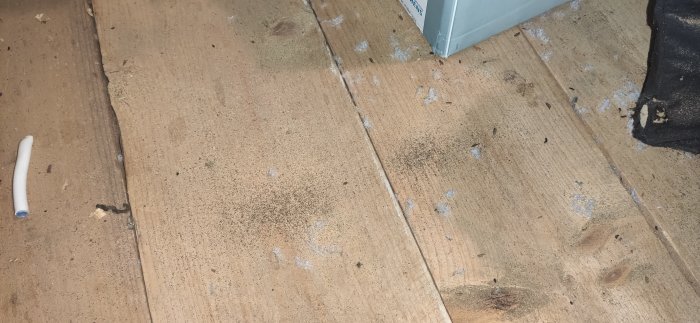 Träbjälkar i ett gammalt hus med spår av husbockangrepp och trädamm.