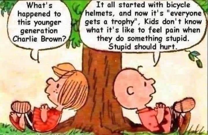Tecknade karaktärer Peppermint Patty och Charlie Brown lutar sig mot ett träd, med en kritisk text om generationsskillnader.