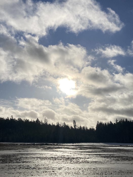 Sol som skiner genom molntäcke ovanför skogskantad strandlinje och glittrande vatten.