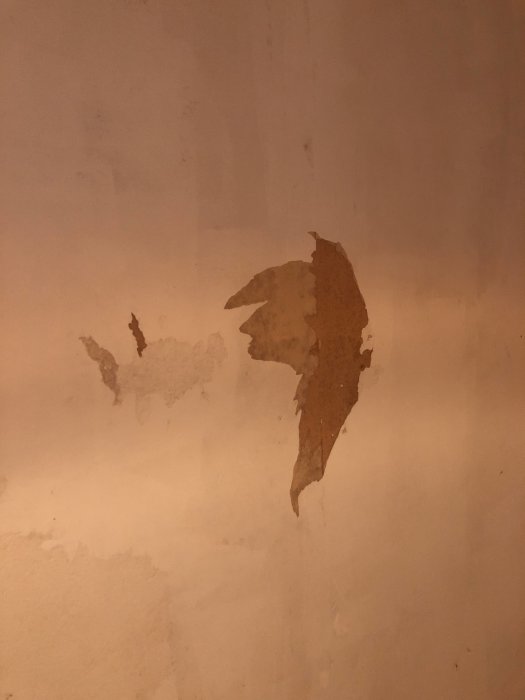 Vägg med flagnande tapet och synlig plywood efter slipning och priming i renoveringsprojekt.