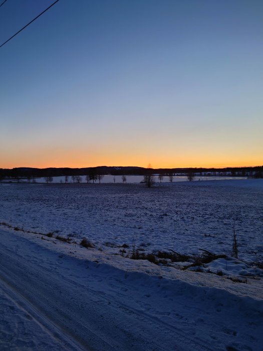 Solnedgång över ett snötäckt landskap med träd och en väg i förgrunden.