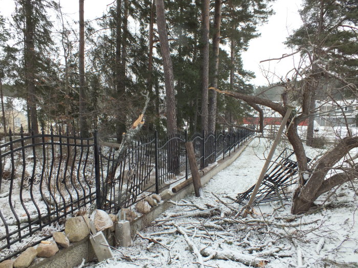 Fallna träd och skadat järnstaket på en villatomt under vintern.