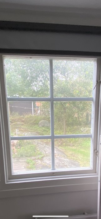 Gammalt fönster med träspröjs från 1965 som blickar ut mot en sommarstugegård.
