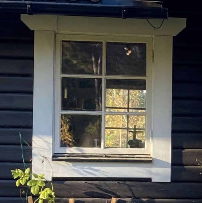 Gammalt fönsterparti med träspröjs från 1965 på en sommarstuga, reflektion av träd och himmel.