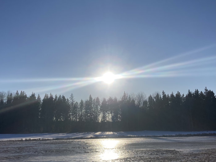 Ljusstark sol som reflekterar mot isbelagd mark med silhuett av träd i bakgrunden.