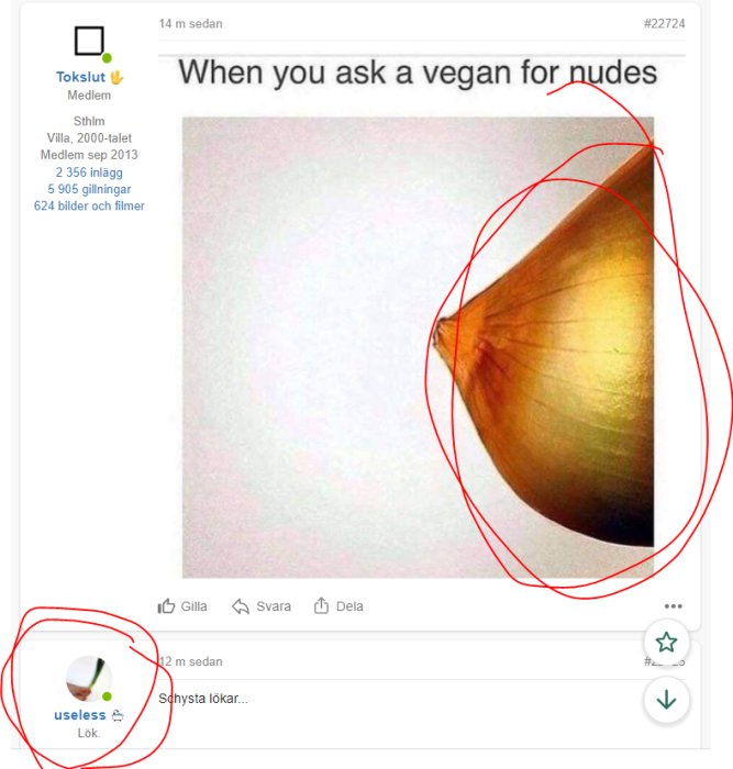 Humoristisk skylt med texten "When you ask a vegan for nudes" och en bild av en lök med skalen halvt avtagna.