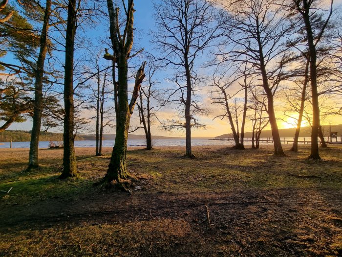 Solnedgång vid en sjö med silhuetter av träd och en brygga i bakgrunden.