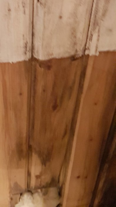 20220212_032242.jpg