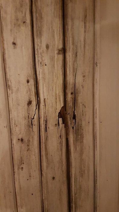 20220212_032230.jpg