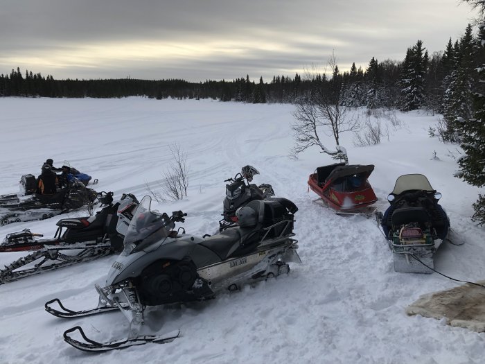 Snöskotrar parkerade i ett vinterlandskap med snöklädda träd i bakgrunden.