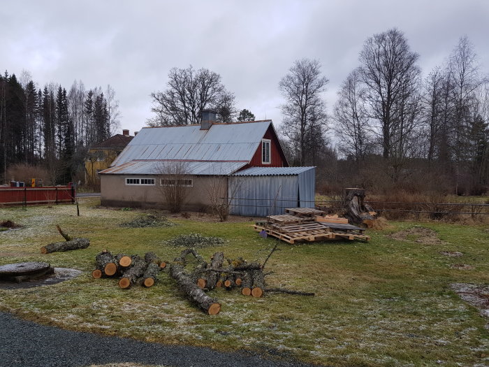 Beskuret körsbärsträd framför lantligt hus med nedfallna grenar och stockar på marken.