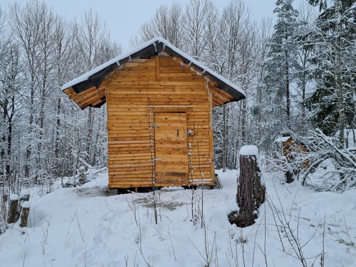 En trästuga med snötäckt tak och omgivning, omgiven av vinterklädda träd.