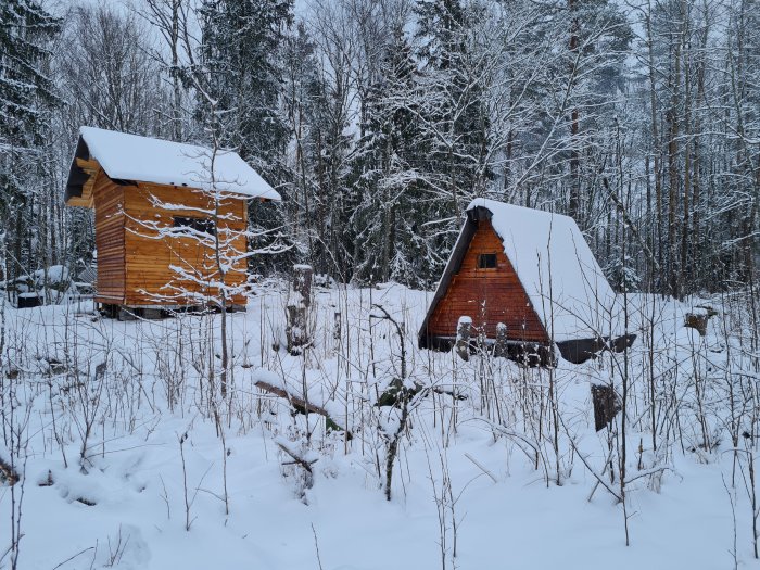 Två trästugor i snölandskap, en A-formad stuga och en rektangulär stuga, omgivna av träd.