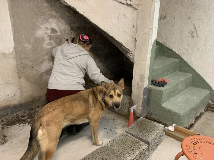 Person som murar i trapputrymmet medan en hund tittar på, nygjutna trappsteg syns till höger.