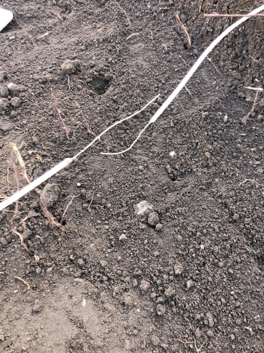 Skadad fiberkabel som ligger över jordytan bland lösa jordklumpar och små rötter.