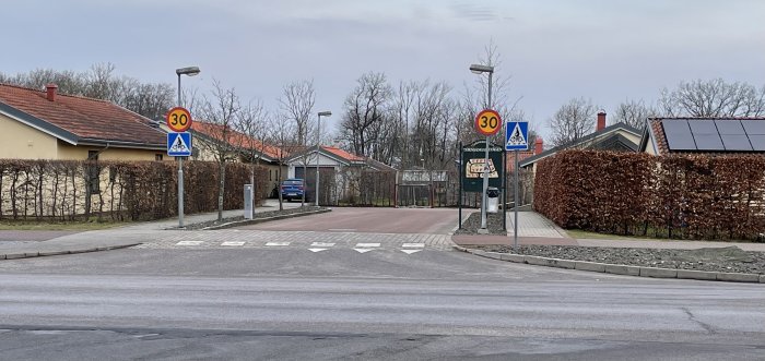 Avenbokhäck till vänster och bokhäck till höger längs en gata i ett bostadsområde efter stormar.