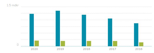 Stapeldiagram som visar företagets försäljningstillväxt under åren 2016-2020.