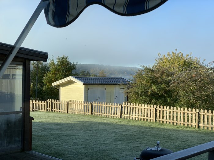 Morgonutsikt från hus med frostigt gräs, staket och friggebod i solljus.