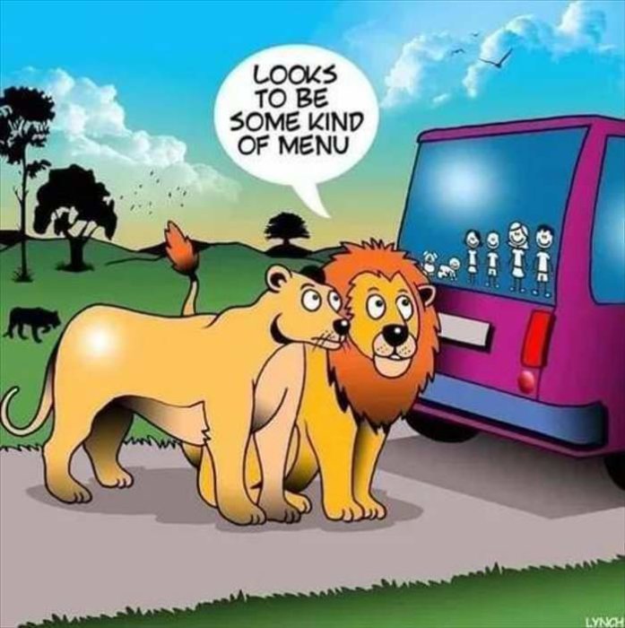 Två tecknade lejon tittar på en safaribuss, ett bubbel säger "Looks to be some kind of menu".