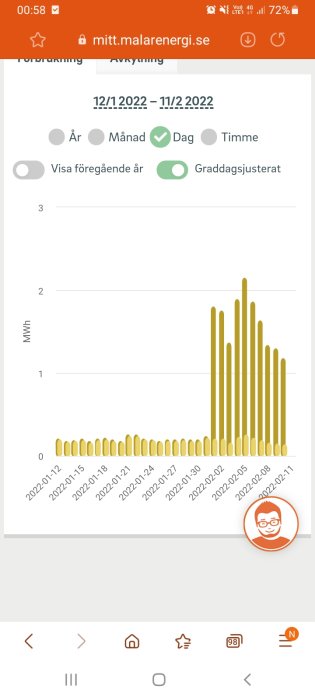 Energiförbrukningsdiagram som visar varierande förbrukning över en period, med oväntad topp.