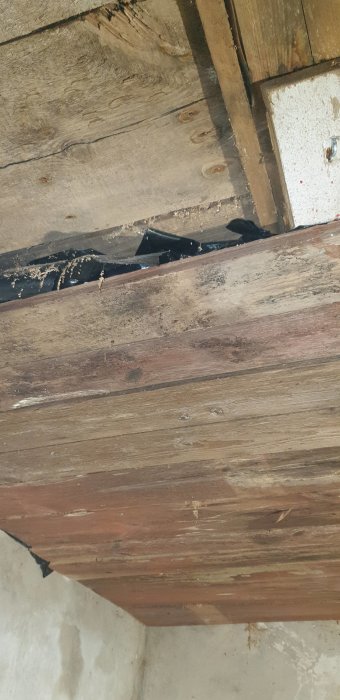 Brunt, skadat trä med hål och vit påväxt i en gammal byggnadskonstruktion.