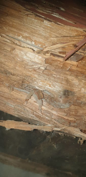 Närbild av rötskadat träbjälke med spindelnätsliknande strukturer och hål.