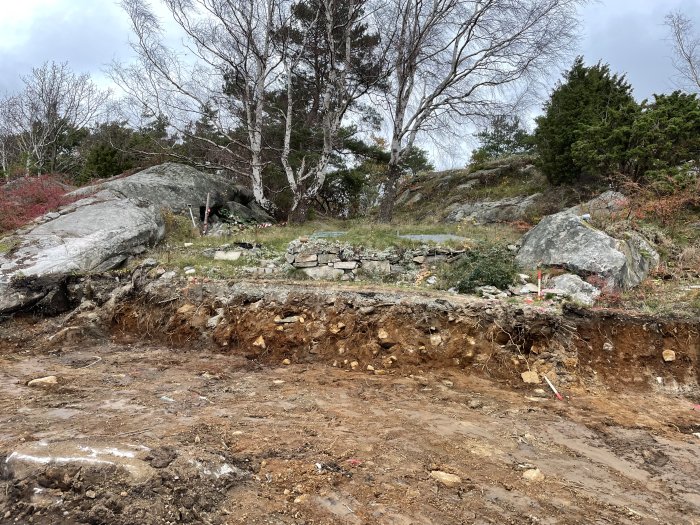 Markarbete på en tomt med synligt berg och jordlager, avmärkt med mätpinnar, mot bakgrund av träd och klippor.