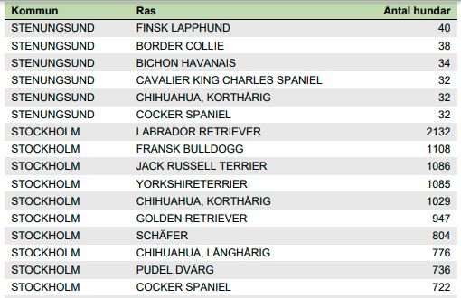 Tabell med topplista över vanligaste hundraserna i Stockholms stad där schäfern är på sjunde plats.