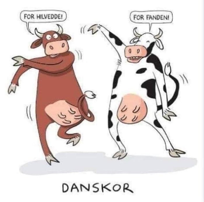 Illustration av två glada kor som dansar, en brun och en vit med svarta fläckar, med pratbubblor som säger "FÖR HILVEDE!" och "FÖR FANDEN!