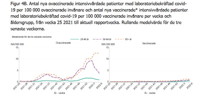 Diagram som jämför antal nya intensivvårdade ovaccinerade och vaccinerade per 100 000 invånare, uppdelat efter åldersgrupper.