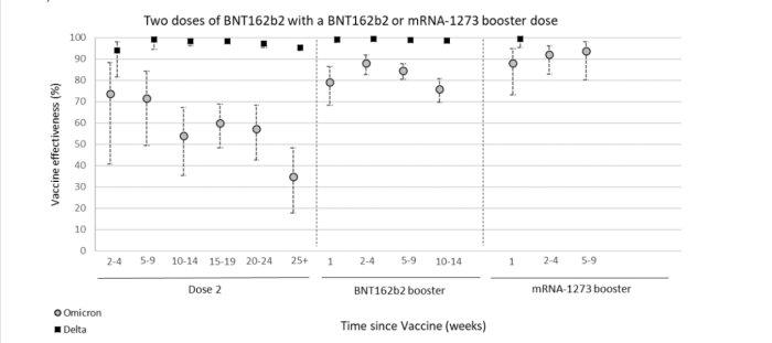 Diagram visar vaccinets effektivitet mot sjukhusinläggning för Omicron och Delta efter två och tre doser över tid.