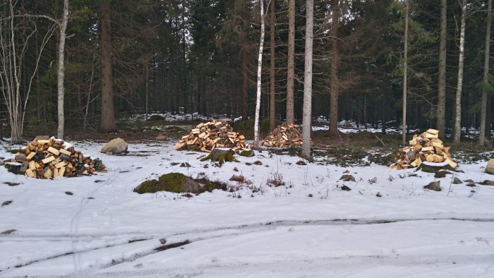 Vedhögar i en skogsglänta med snötäckt mark.