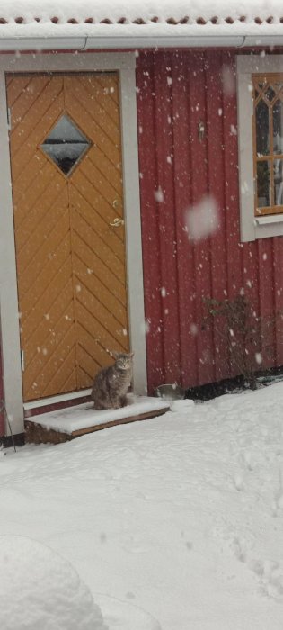 Katt sitter orörd på snötäckt veranda med snöfall framför röd stuga.