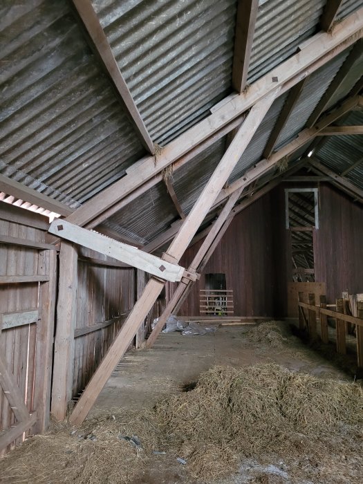 Gammal ladugårdsloft med synliga takstolar och plåttak, hö och spillror på golvet.