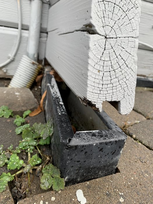 Plåtränna under vitmålad timmerpanel nära marken, med synlig fukt och vegetation runtomkring.