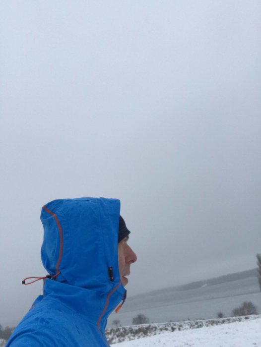 Person i blå jacka med luvan uppe tittar ut över snötäckt landskap under disig himmel.