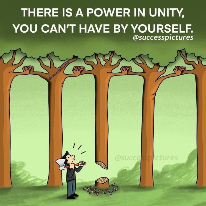 Illustration av träd sammanlänkade ovan, man bryter en pinne, text "THERE IS A POWER IN UNITY, YOU CAN'T HAVE BY YOURSELF.