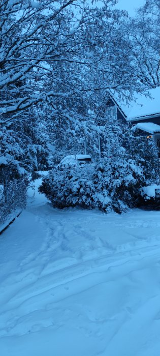 Snötäckt trädgård och bil framför hus i skymningen.